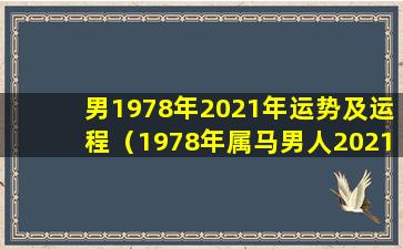 男1978年2021年运势及运程（1978年属马男人2021年运势运程每月运程 🪴 ）